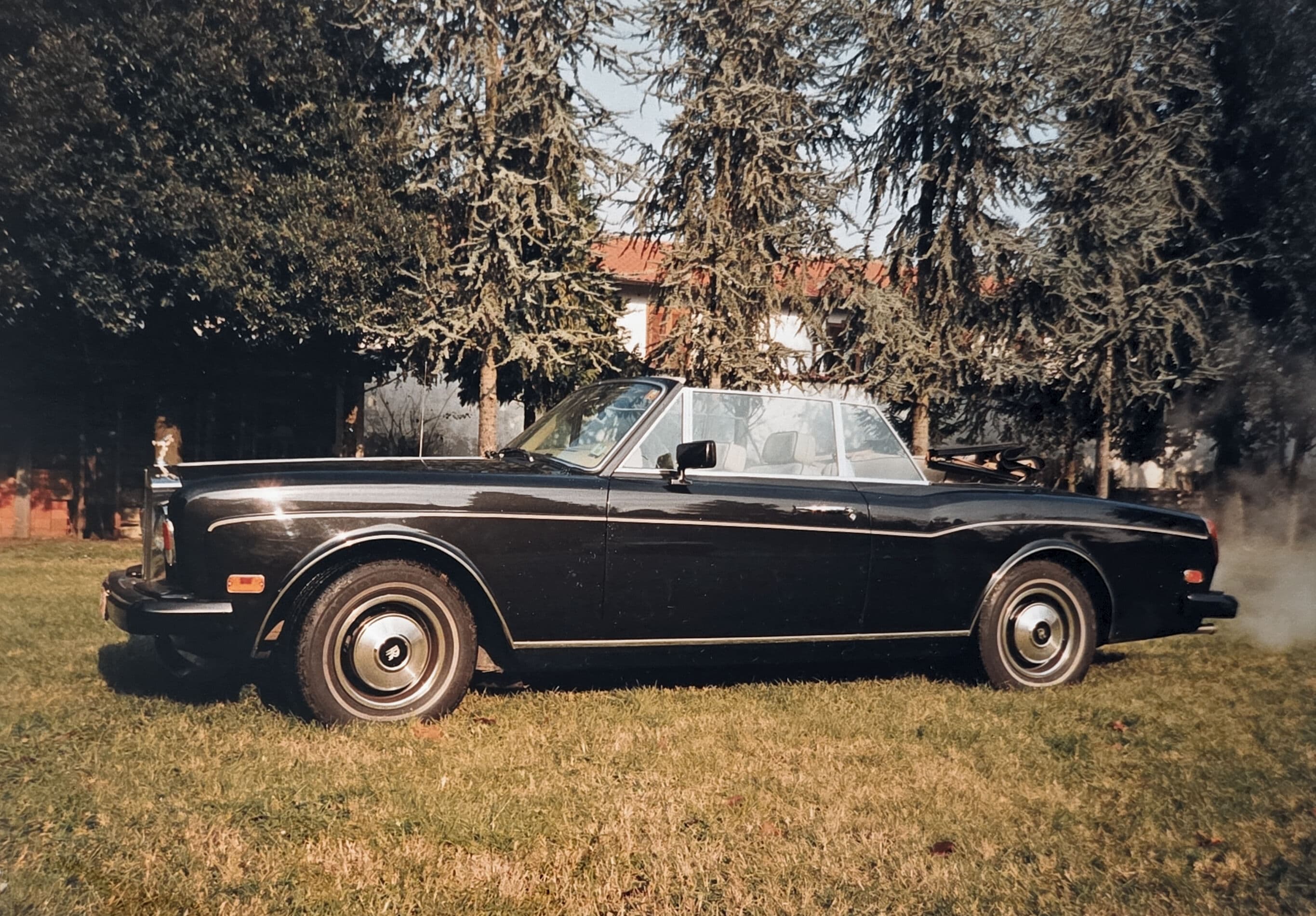 Vintage black Rolls-Royce convertible parked on a lawn with tall evergreen trees in background.